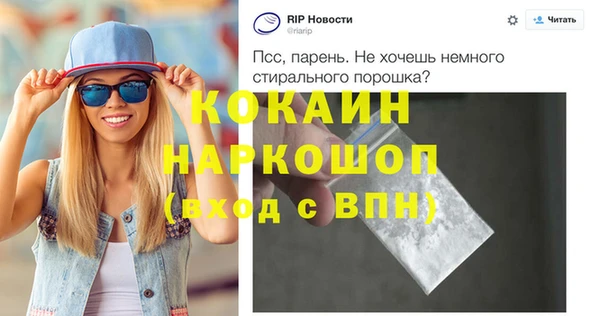 шишки Снежногорск