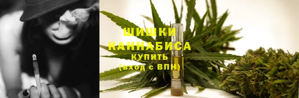 шишки Снежногорск