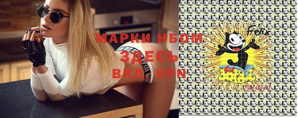 шишки Снежногорск