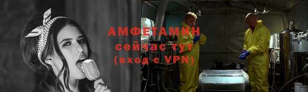 шишки Снежногорск