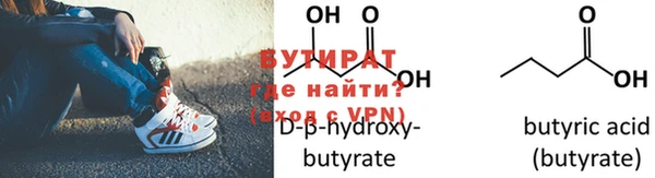 шишки Снежногорск