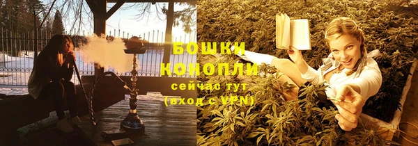шишки Снежногорск