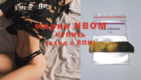 шишки Снежногорск
