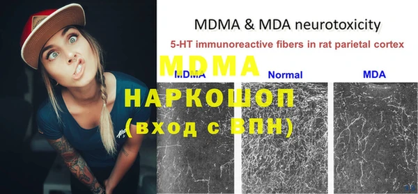 шишки Снежногорск