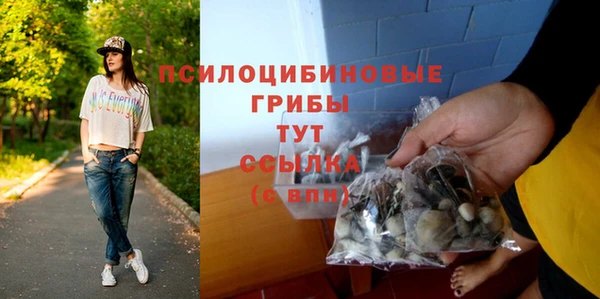 метадон Снежинск