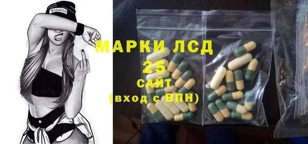 шишки Снежногорск